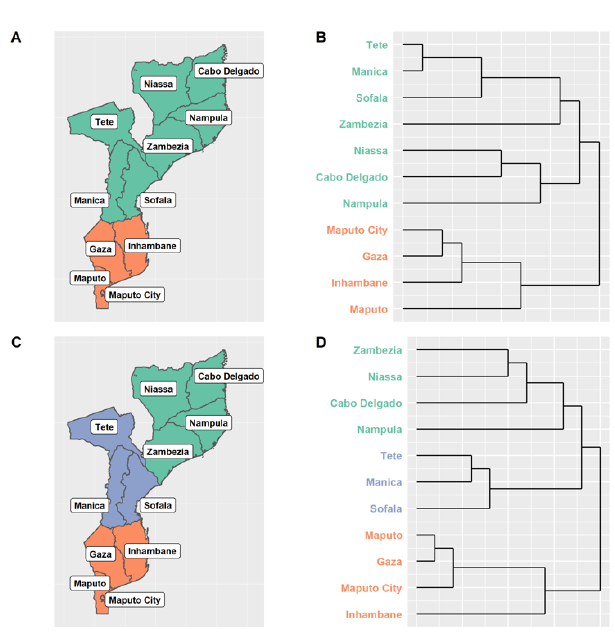 Maps and branching diagrams compare patterns of human travel with the movement of malaria parasites between Mozambican provinces.